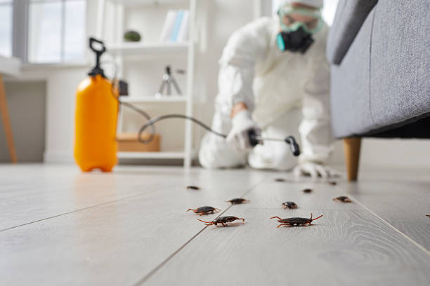 Commercial Kitchen Cockroach Control in Boiling Springs